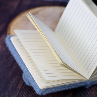 Блокнот плюшевый 'Penguin' (пингвин) в ассортименте 5