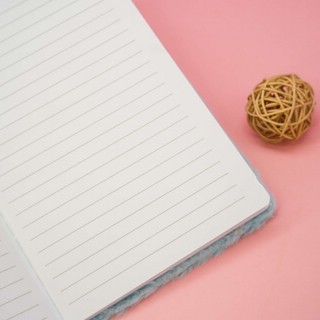 Блокнот плюшевый 'Sleeping fox' (лис) 3