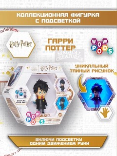 Wow! POD - Гарри Поттер с Буклей 3