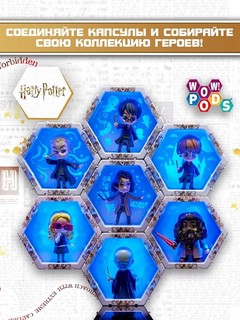 Wow! POD - Гарри Поттер с Буклей 5