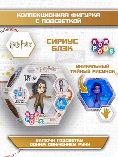 Wow! POD - Сириус Блэк 2