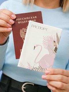 Обложка для паспорта Tropical flamingo