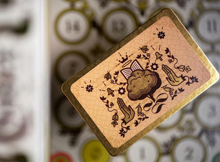 Настольная игра Кодекс природы, Стиль Жизни 7