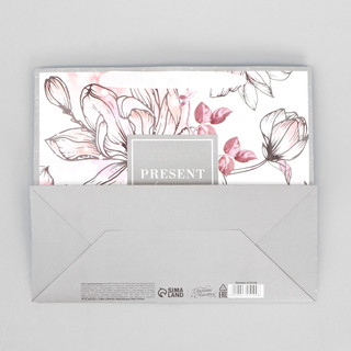 Пакет ламинированный горизонтальный «Present for you», 27x23x11.5 см 5