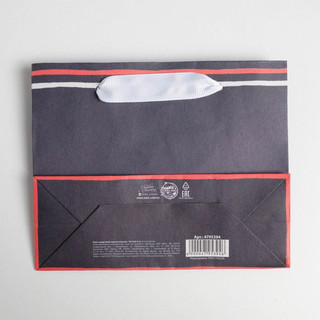 Пакет крафтовый горизонтальный «Congratulations», 15 x 12 x 5.5 см 4