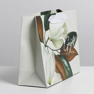 Пакет ламинированный «Подарок» 22 x 17,5 x 8 см 2