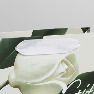 Пакет ламинированный «Подарок» 22 x 17,5 x 8 см 3