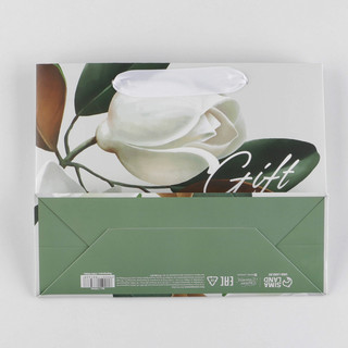 Пакет ламинированный «Подарок» 22 x 17,5 x 8 см 4