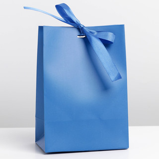 Пакет подарочный с лентой «Синий», 13 x 19 x 9 см 1