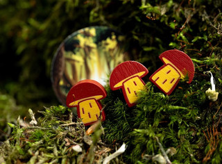 Настольная игра Грибные места (Wonder Woods), Стиль Жизни 10