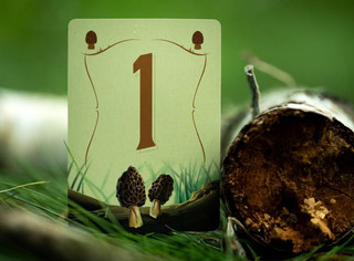 Настольная игра Грибные места (Wonder Woods), Стиль Жизни 12