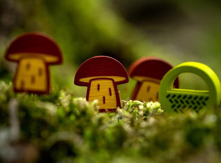 Настольная игра Грибные места (Wonder Woods), Стиль Жизни 13