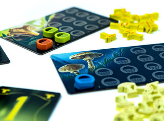 Настольная игра Грибные места (Wonder Woods), Стиль Жизни 4