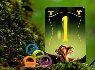 Настольная игра Грибные места (Wonder Woods), Стиль Жизни 8