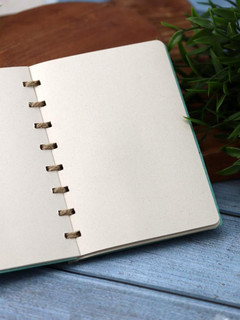 Живой блокнот Magicme, мятный 5