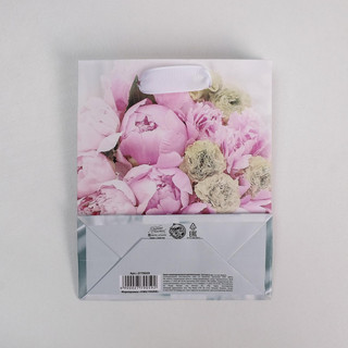 Пакет ламинированный вертикальный «Радости!», S 12 х 15 х 5,5 4