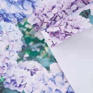 Бумага упаковочная глянцевая «Нежные », 50 x 70 см