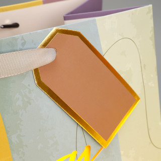 Пакет ламинированный «Лови момент», 25x30.5x13 см 5