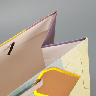 Пакет ламинированный «Лови момент», 25x30.5x13 см 6