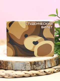 Обложка для студенческого «Bear»