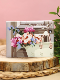 Обложка для студенческого «Romance»