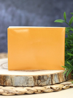 Обложка для студенческого «Summer fox» 4