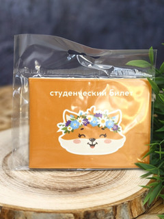 Обложка для студенческого «Summer fox» 5