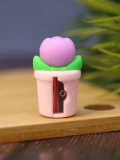 Точилка для карандашей 'Tulips flower', в ассортименте 5