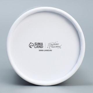 Коробка подарочная «Сказочного Нового года», 8 х 14.5 см 6