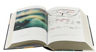 Рождение сложности. Эволюционная биология сегодня. Неожиданные открытия и новые вопросы 4