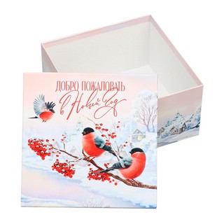 Коробка подарочная 'Новогодняя сказка' №3, размер 22 x 22 x 1...