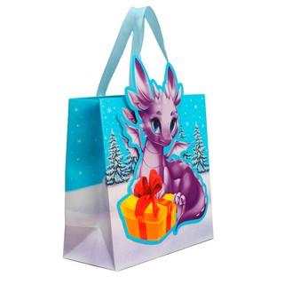 Пакет подарочный «Дракоша», 22 x 22 x 10 см 2