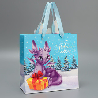 Пакет подарочный «Дракоша», 22 x 22 x 10 см 3