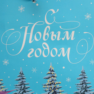 Пакет подарочный «Дракоша», 22 x 22 x 10 см 4