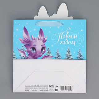 Пакет подарочный «Дракоша», 22 x 22 x 10 см 7