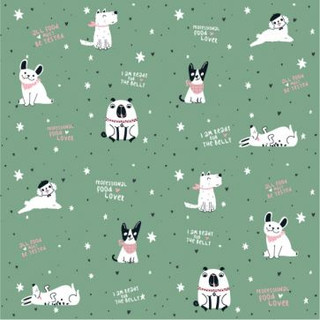 Бумага упаковочная 'Pets, зеленый' 70х100 см 1