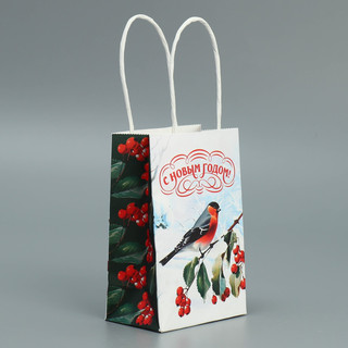 Пакет крафтовый «Зимушка», 15 x 10 x 6 см 2