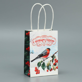 Пакет крафтовый «Зимушка», 15 x 10 x 6 см 3