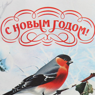 Пакет крафтовый «Зимушка», 15 x 10 x 6 см 5