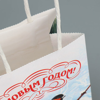 Пакет крафтовый «Зимушка», 15 x 10 x 6 см 6