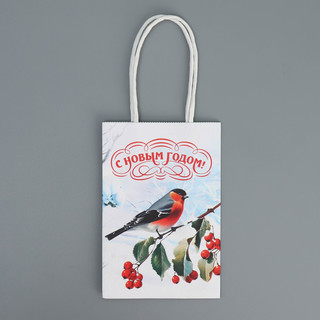 Пакет крафтовый «Зимушка», 15 x 10 x 6 см 7