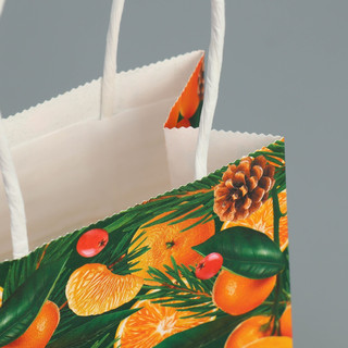 Пакет крафтовый «Мандариновое настроение», 15 x 10 x 6 см 6