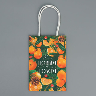 Пакет крафтовый «Мандариновое настроение», 15 x 10 x 6 см 7