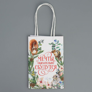 Пакет крафтовый «Мечты сбудутся», 15 x 10 x 6 см 7
