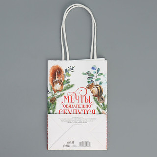 Пакет крафтовый «Мечты сбудутся», 15 x 10 x 6 см 8