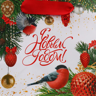 Пакет ламинированный квадратный «Яркие краски», 14 x 14 x 9 см 5