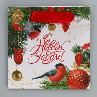 Пакет ламинированный квадратный «Яркие краски», 14 x 14 x 9 см 6