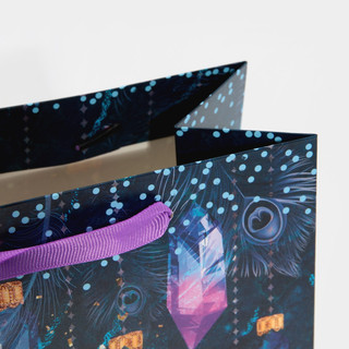 Пакет ламинированный вертикальный «Кристалл», MS 18 x 23 x 10 см 5