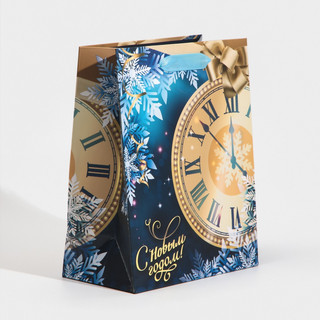 Пакет ламинированный вертикальный «Куранты», MS 18 x 23 x 10 см 2