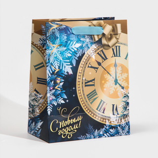 Пакет ламинированный вертикальный «Куранты», MS 18 x 23 x 10 см 3